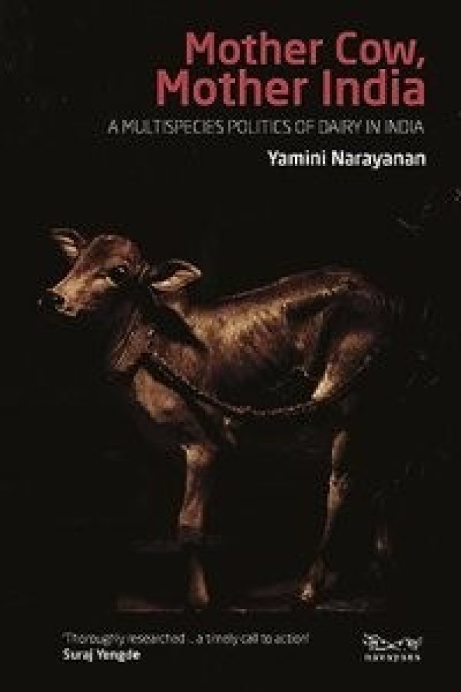 Mother Cow, Mother India : A Multispecies Politics of Dairy in India (Paperback) | Released: 01 Sep 2023